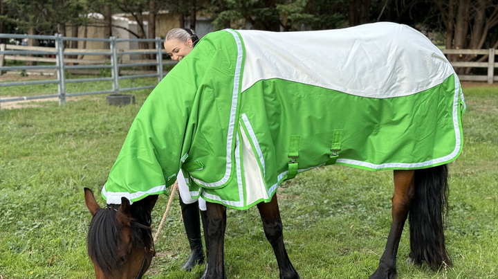 1200 Denier turnout rug Green and white
