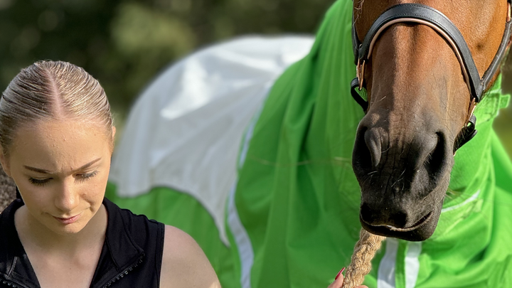 1200 Denier turnout rug Green and white