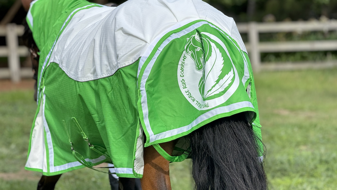1200 Denier turnout rug Green and white