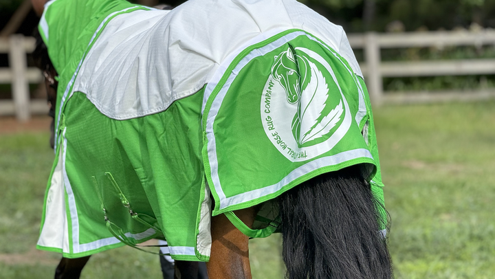 1200 Denier turnout rug Green and white