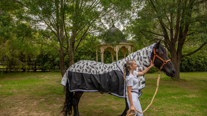 1200 denier turnout rug