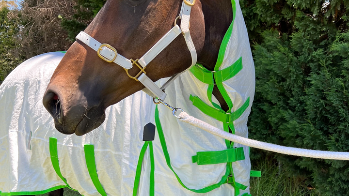Hemp Summer Rug Detachable Neck