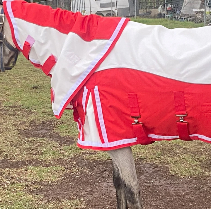 Pony Range 1200 Denier turnout rug on sale 50% off